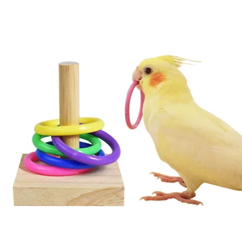 Uccello Di Formazione Giocattoli Set Blocco Di Legno Di Puzzle Giocattoli Per Pappagalli Colorati Anelli Di Plastica Intelligenza Di Formazione Giocattolo Da Masticare Uccello Forniture