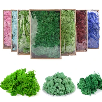 20g 40g di Qualità Muschio Artificiale Immortale Moss Simulazione Pianta Verde Erba di Casa Decorativi da Parete DIY Micro Paesaggio Accessori