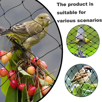 Nylon Anti Uccello rete Raccolto di Frutta Pianta Albero Maglia Protettiva di Impedire la Compensazione di Reti per la Cattura di Uccelli disinfestazione Forniture da Giardino