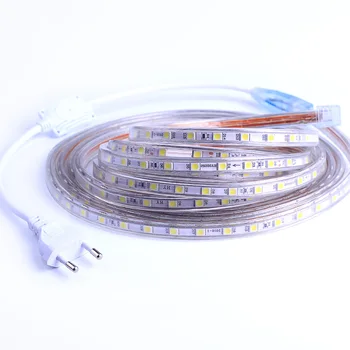 Impermeabile SMD 5050 AC220V Striscia LED Flessibile Luce 60leds/m RGB Led Nastro di Luce a LED Con Spina di Alimentazione 1M/2M/3M/5M/6M/10M/15M/25M