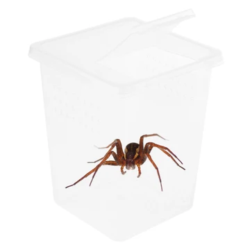 Plastica Insetto Spider Habitat Di Alimentazione Scatola Di Caso, Serbatoio Da Trasporto In Caso Di Schiusa Serbatoio Rettile Serbatoio Habitat Caso